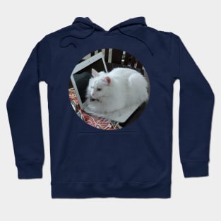 Cat Hoodie